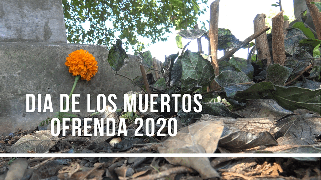 Dia de Los Muertos Ofrenda 2020